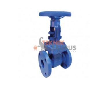 Gate valve 2 inch