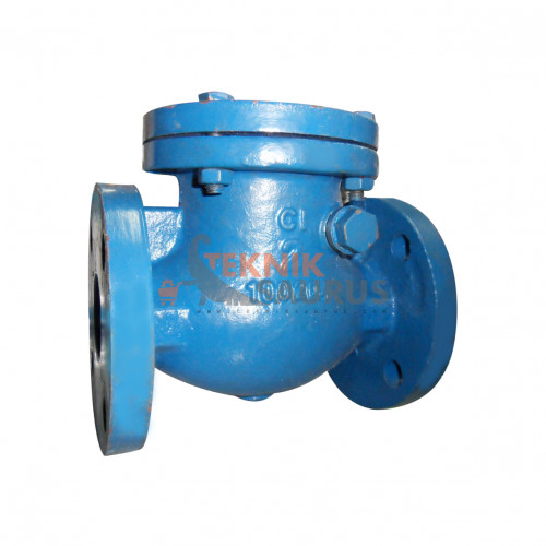 product primary Swing Check Valve image